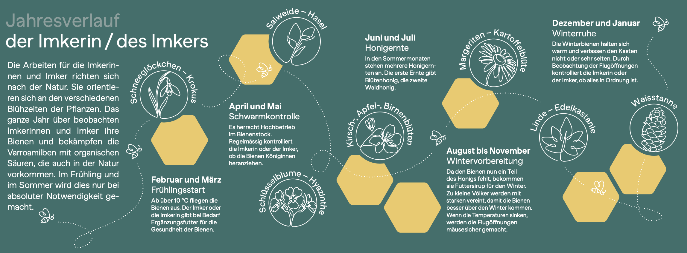 Jahresverlauf_Imker