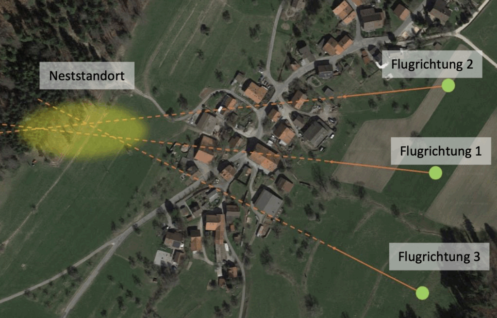 Bildschirmfoto-2025-08-28-um-23.42.23-1024x656