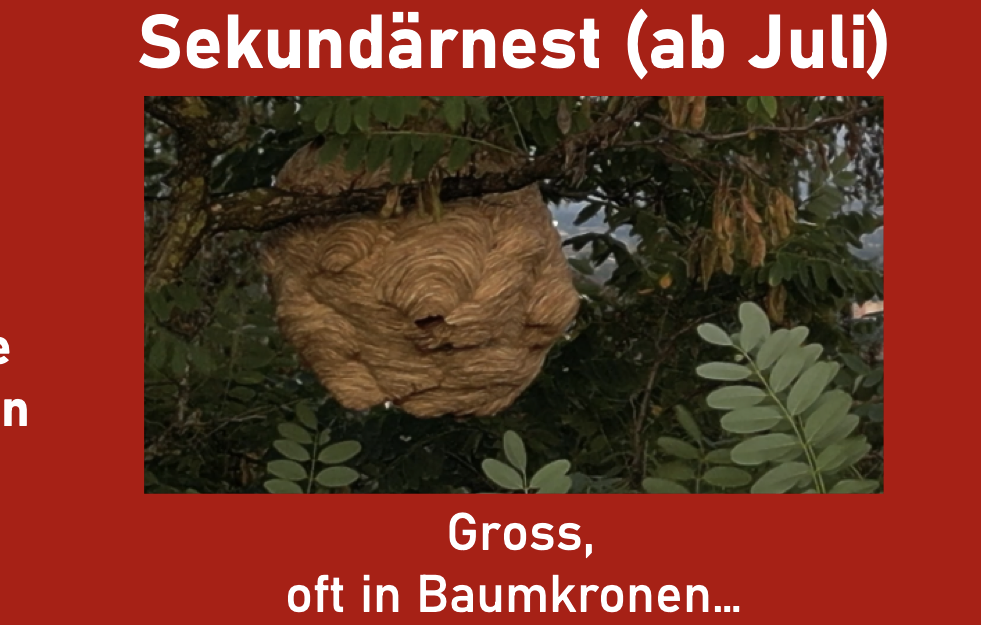 Bildschirmfoto-2025-08-28-um-23.45.00-edited-3