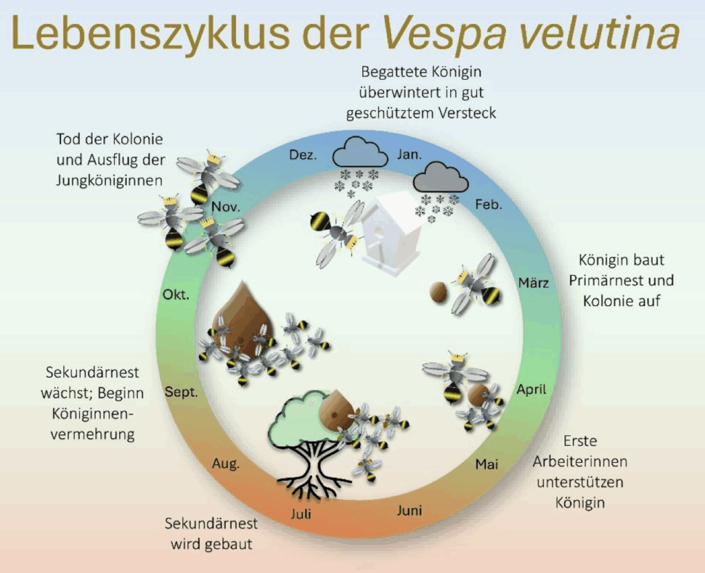 Bildschirmfoto-2025-09-02-um-18.41.01-1024x833
