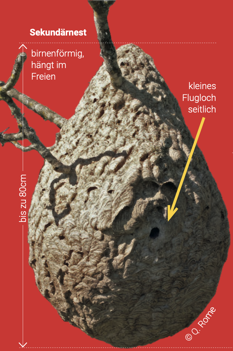 Bildschirmfoto-2025-09-02-um-21.45.24