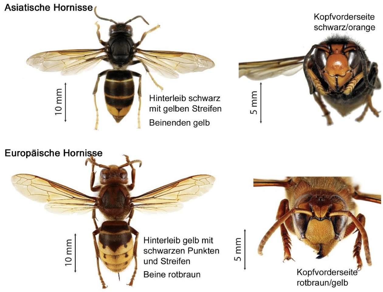 Bildschirmfoto-2025-09-02-um-21.48.20