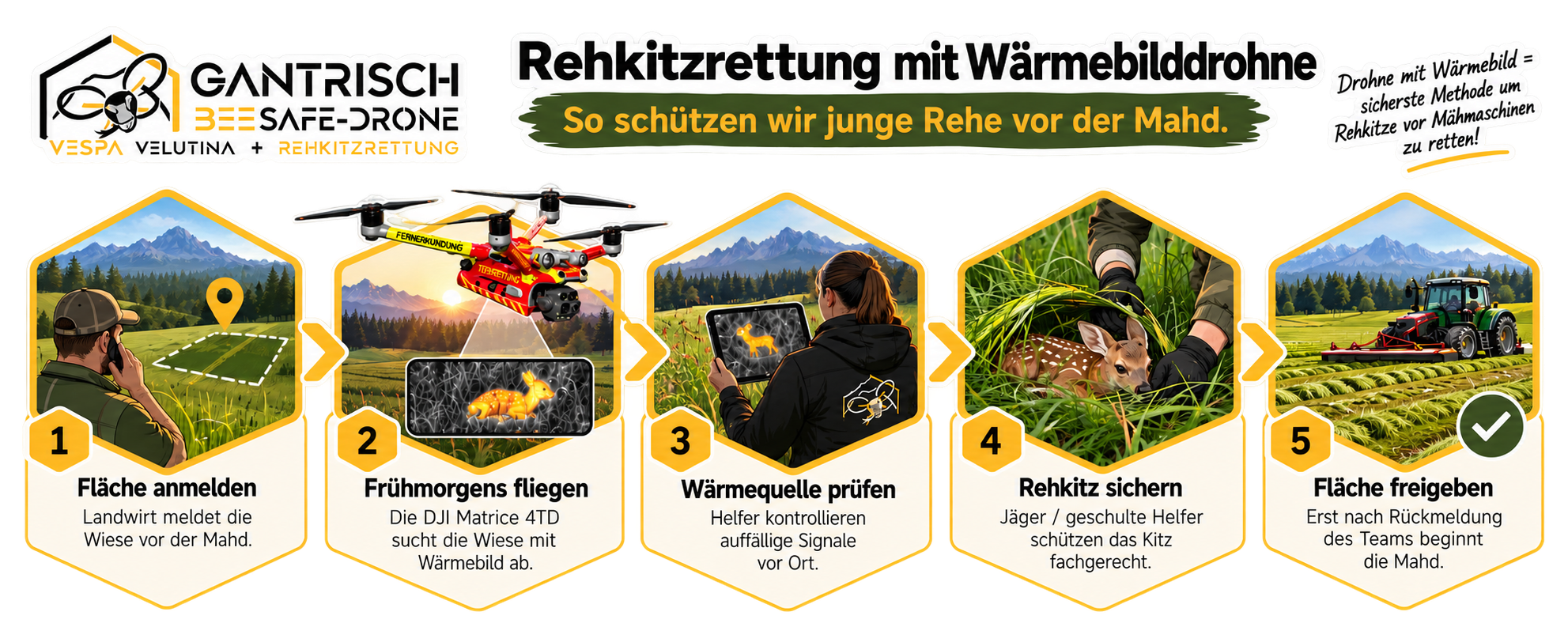 Rehkitzrettung mit Wärmebilddrohne-3